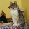Отзыв от Зинаида Белоусова